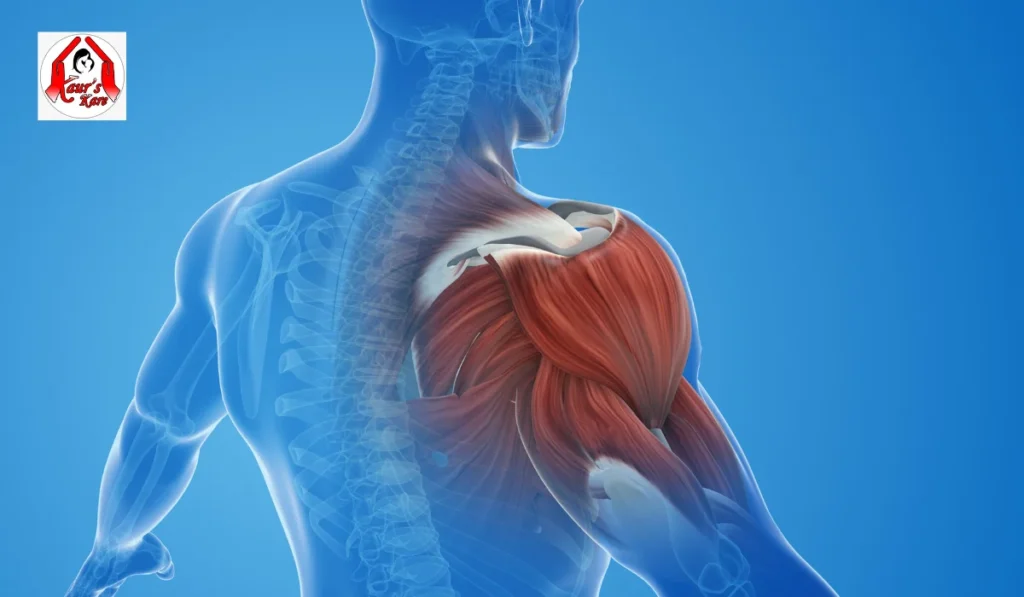 frozen shoulder treatment in homeopathy