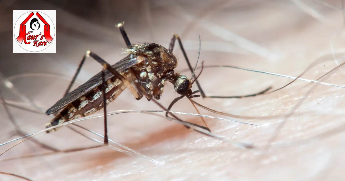 Dengue Treatment In Homoeopathy